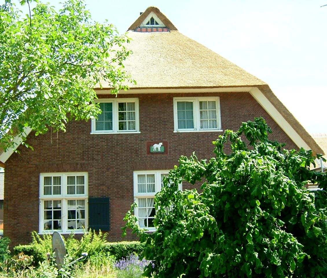 Landelijk landhuis met rieten dak