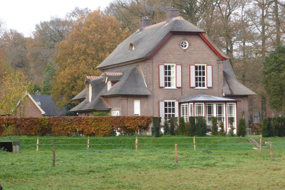 Rieten daken villa's