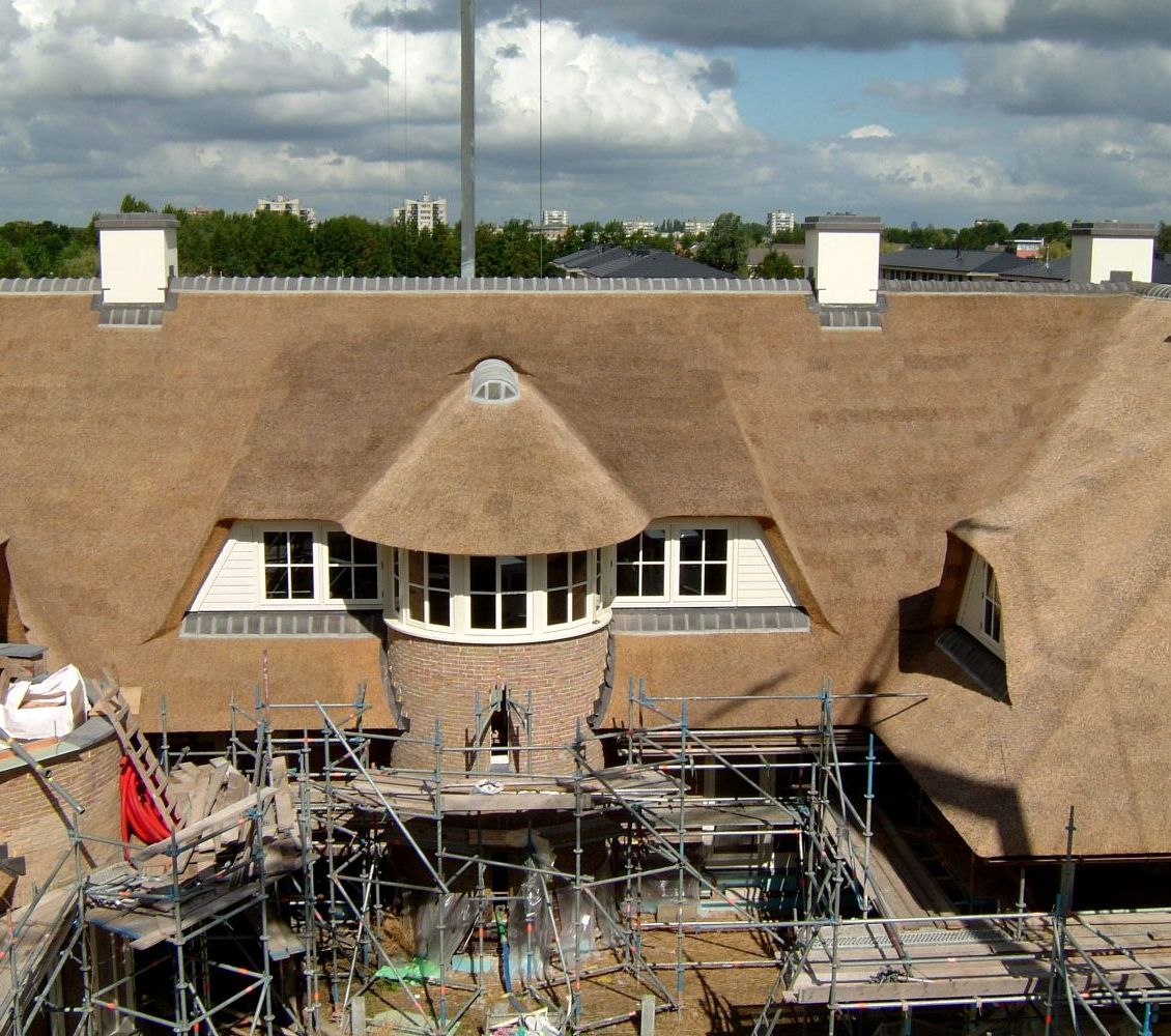 Groots landhuis met rieten dak